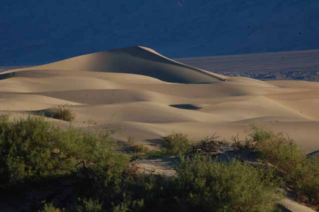 Mesquite sand dunes